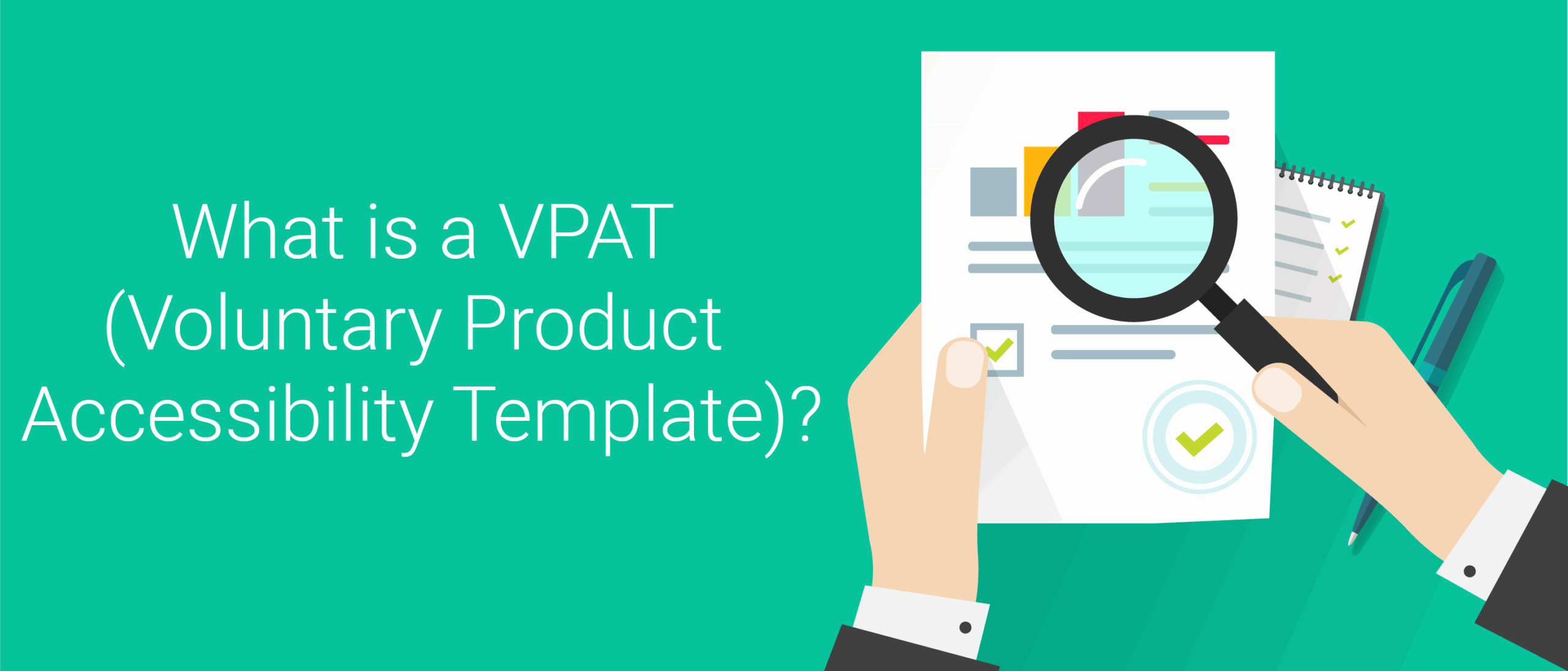 What is a VPAT report