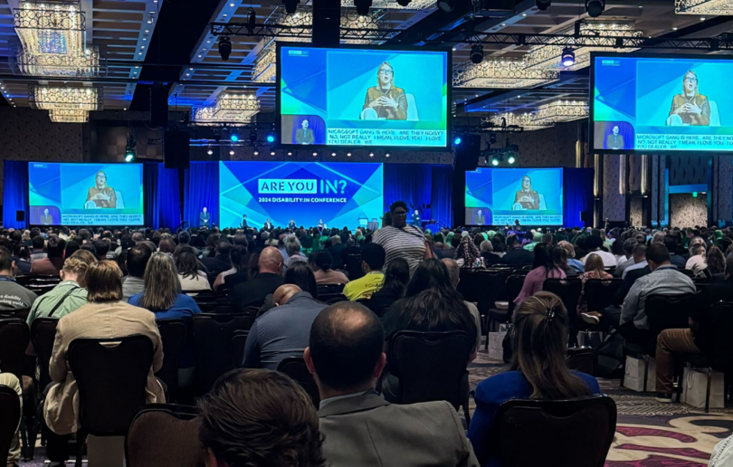 DisabilityIn 2024